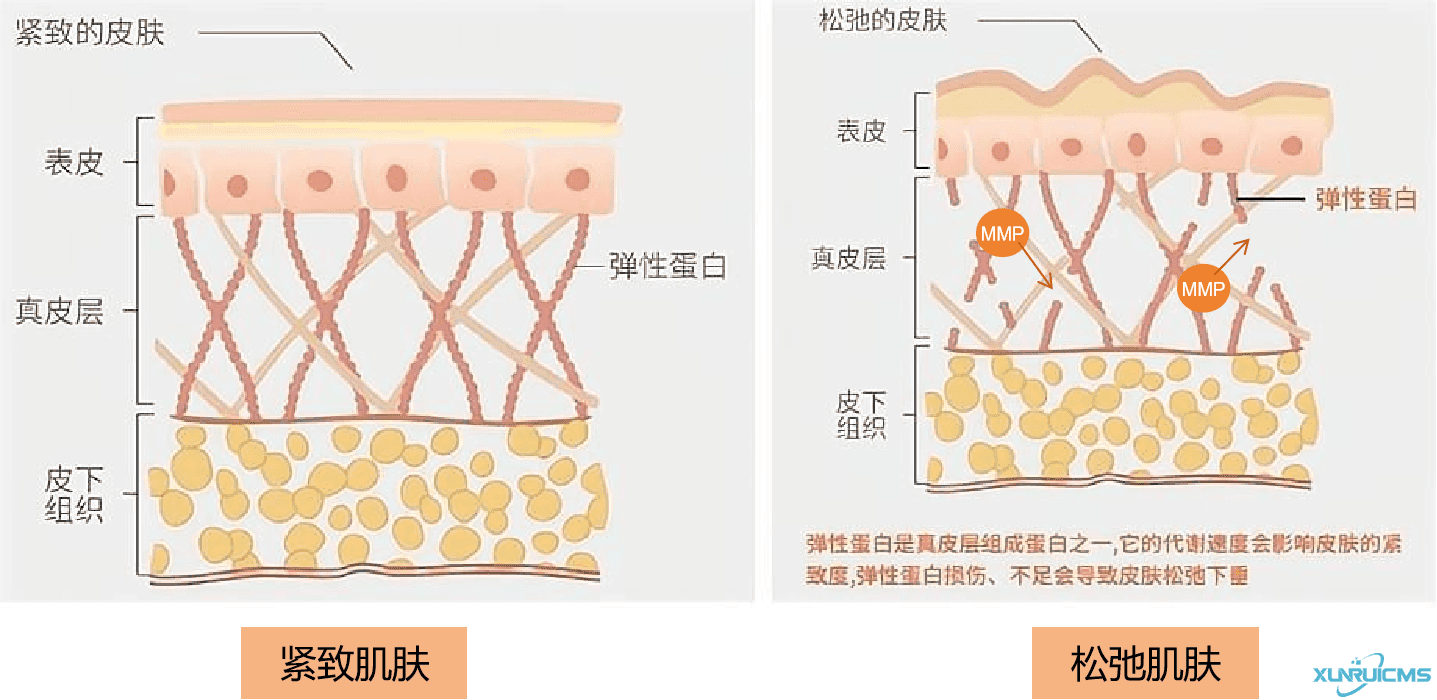 微信圖片_20240927163135