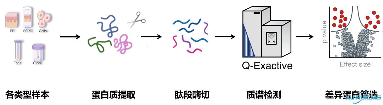 微信圖片_20241016153904 微信圖片_20241016153904