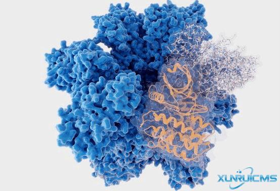 微信圖片_20241016153851 微信圖片_20241016153851