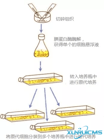 微信圖片_20241016153913 微信圖片_20241016153913