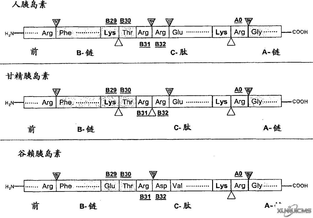 微信圖片_20241016153908 微信圖片_20241016153908