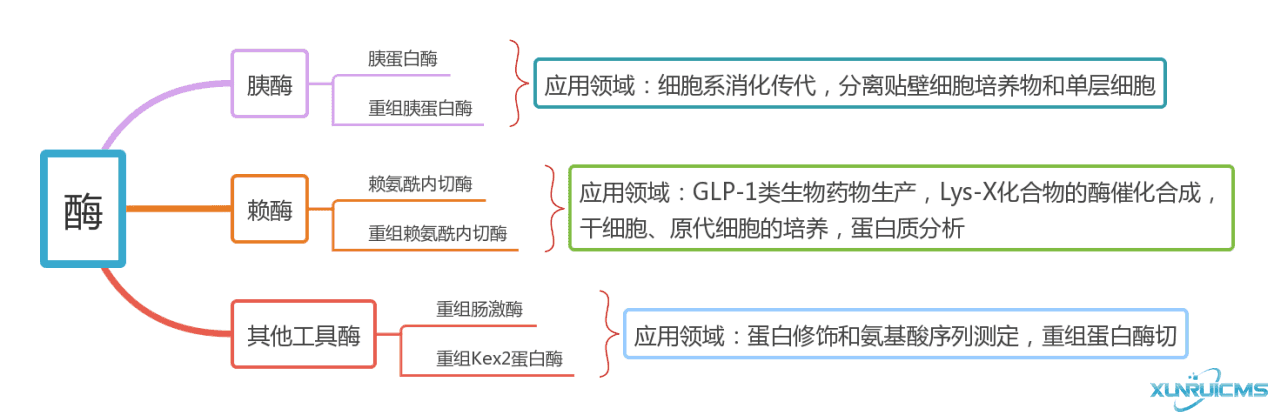 微信圖片_20241017165639