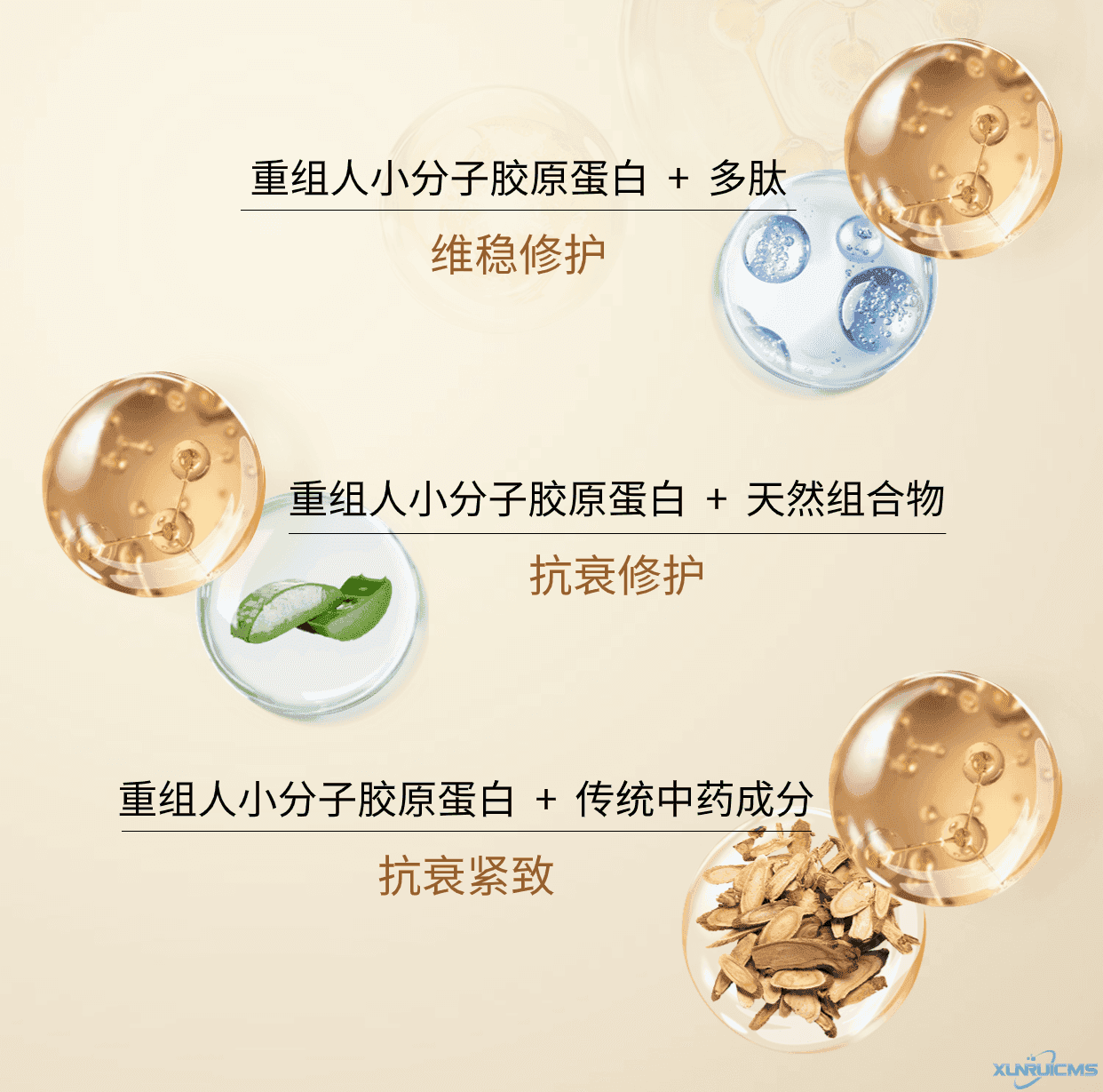 微信圖片_20241021170242 微信圖片_20241021170242