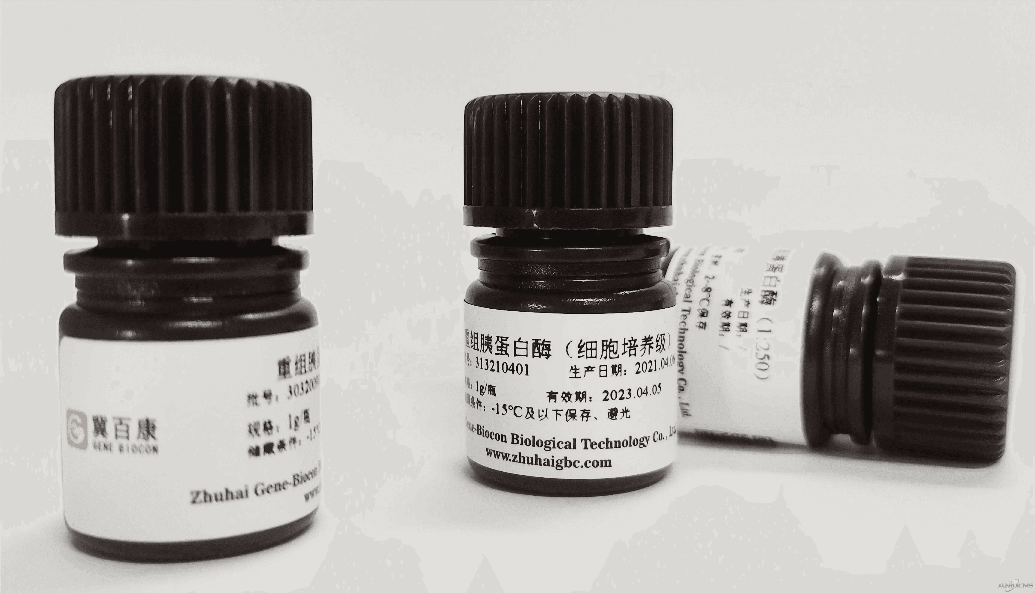 微信圖片_20241022084937(1)