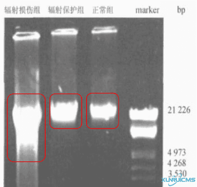 微信圖片_20241022112546 微信圖片_20241022112546