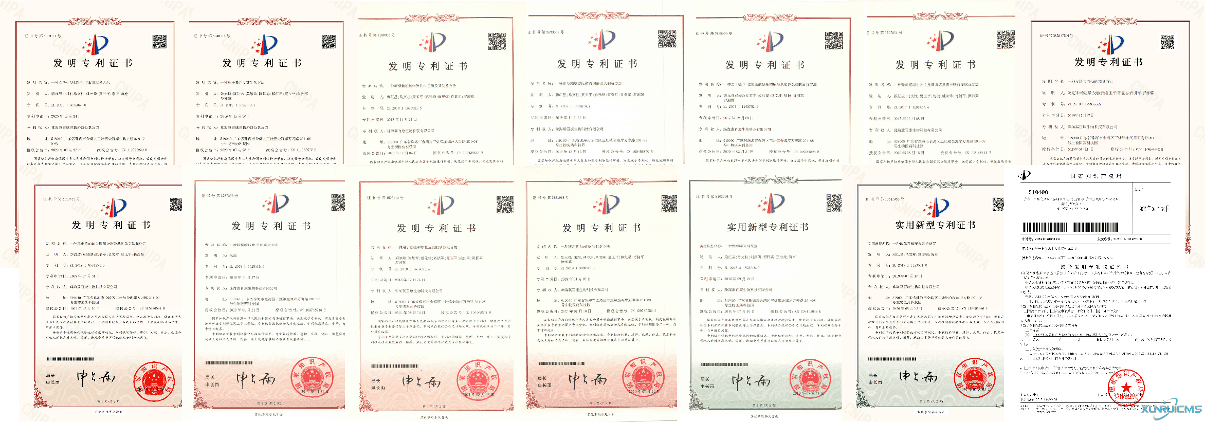 微信圖片_20241022112607 微信圖片_20241022112607