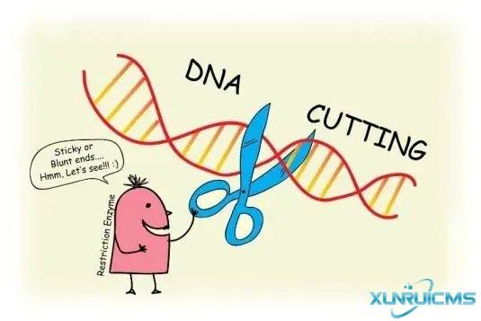 微信圖片_20241022161028