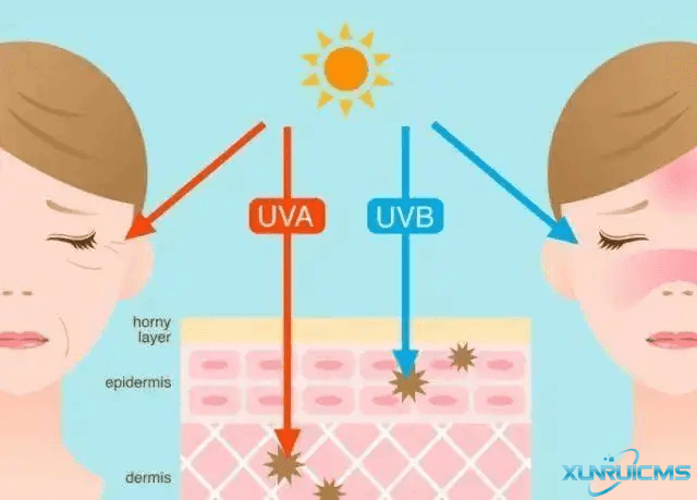 微信圖片_20241022164035