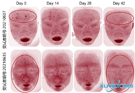 微信圖片_20241022170626