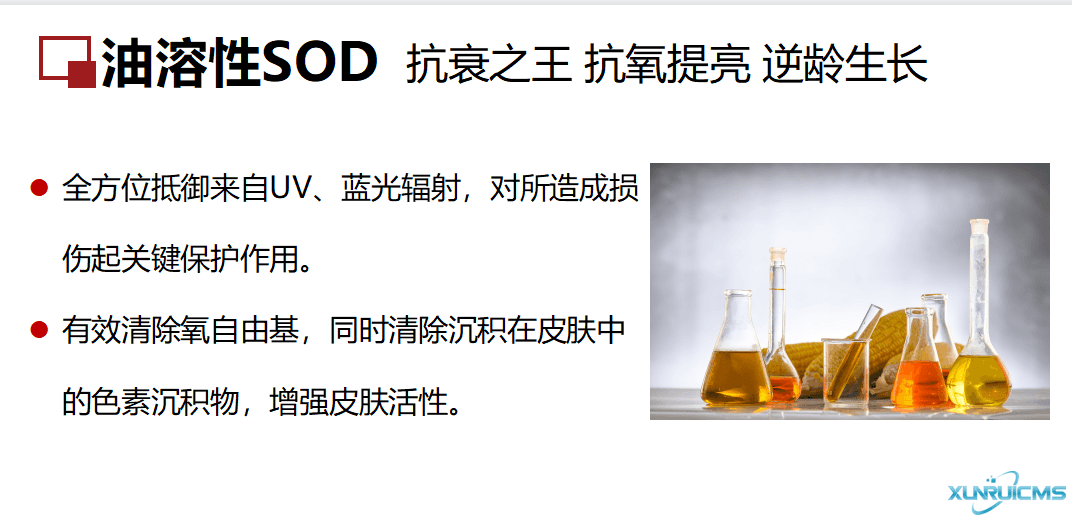 微信圖片_20241024100649 微信圖片_20241024100649