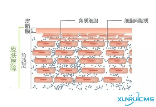微信圖片_20241024173100