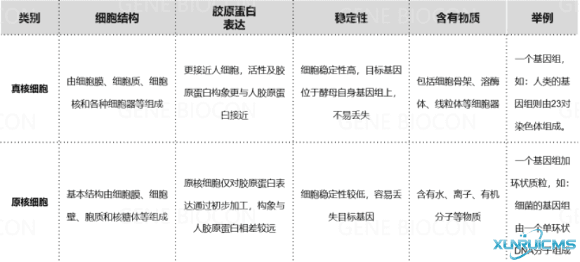 微信圖片_20241030112821 微信圖片_20241030112821