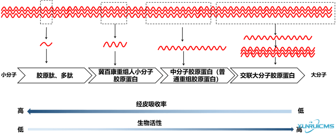 微信圖片_20241030134610 微信圖片_20241030134610